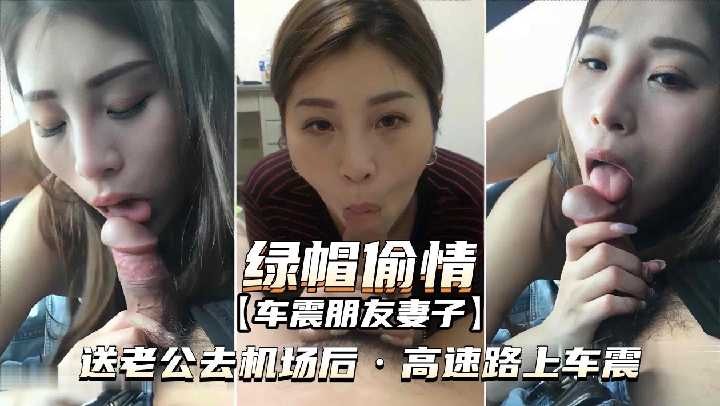 送老公去机场后 高速路上车震
